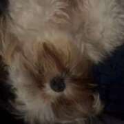 ヒメ日記 2025/10/18 15:09 投稿 雫(しずく) チューリップ宇都宮店