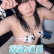 ヒメ日記 2025/10/30 14:16 投稿 雫(しずく) チューリップ宇都宮店