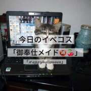 ヒメ日記 2025/10/31 15:19 投稿 雫(しずく) チューリップ宇都宮店