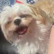 ヒメ日記 2025/10/31 18:19 投稿 雫(しずく) チューリップ宇都宮店