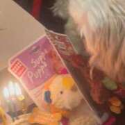 ヒメ日記 2025/11/01 18:17 投稿 雫(しずく) チューリップ宇都宮店