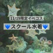 ヒメ日記 2025/11/19 15:20 投稿 雫(しずく) チューリップ宇都宮店