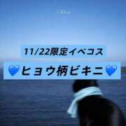 ヒメ日記 2025/11/22 15:12 投稿 雫(しずく) チューリップ宇都宮店