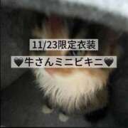 ヒメ日記 2025/11/23 15:11 投稿 雫(しずく) チューリップ宇都宮店