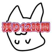 ヒメ日記 2025/11/24 12:23 投稿 雫(しずく) チューリップ宇都宮店