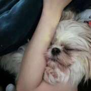 雫(しずく) Zzz チューリップ宇都宮店