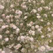 ヒメ日記 2025/12/10 21:29 投稿 雫(しずく) チューリップ宇都宮店