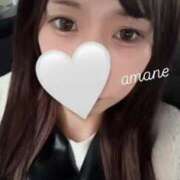 ヒメ日記 2025/04/08 14:02 投稿 あまね E+アイドルスクール品川店