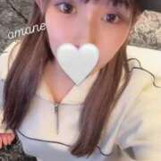 ヒメ日記 2025/04/11 23:49 投稿 あまね E+アイドルスクール品川店