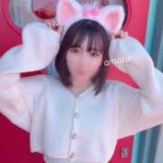 ヒメ日記 2025/04/16 19:42 投稿 あまね E+アイドルスクール品川店