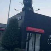 ヒメ日記 2025/08/23 01:02 投稿 かな ごほうびSPA 大阪店