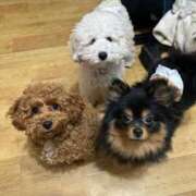 かな 完売🫶 ごほうびSPA 大阪店