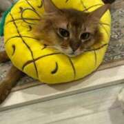 ヒメ日記 2025/12/18 22:02 投稿 かな ごほうびSPA 大阪店