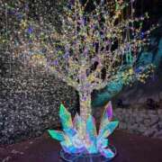 ヒメ日記 2025/12/19 02:02 投稿 かな ごほうびSPA 大阪店