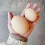 ヒメ日記 2026/01/24 01:35 投稿 かな ごほうびSPA 大阪店