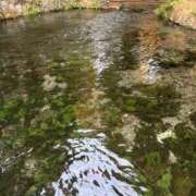 ヒメ日記 2026/03/21 22:33 投稿 浅川みく パレット(熊本)