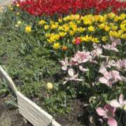 ヒメ日記 2026/04/03 20:53 投稿 浅川みく パレット(熊本)