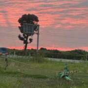 ヒメ日記 2026/06/06 19:53 投稿 浅川みく パレット(熊本)