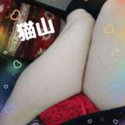 ヒメ日記 2025/02/23 10:30 投稿 猫山【ねこやま】 丸妻 西船橋店