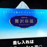 ヒメ日記 2025/02/23 12:45 投稿 猫山【ねこやま】 丸妻 西船橋店