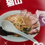 ヒメ日記 2025/02/26 11:19 投稿 猫山【ねこやま】 丸妻 西船橋店