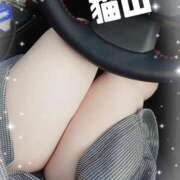 ヒメ日記 2025/03/09 08:40 投稿 猫山【ねこやま】 丸妻 西船橋店