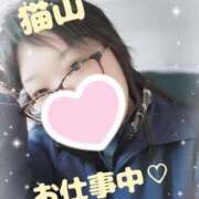 ヒメ日記 2025/03/12 08:26 投稿 猫山【ねこやま】 丸妻 西船橋店