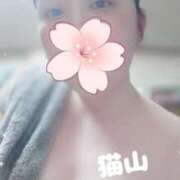 ヒメ日記 2025/04/03 17:40 投稿 猫山【ねこやま】 丸妻 西船橋店