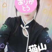 ヒメ日記 2025/04/06 12:25 投稿 猫山【ねこやま】 丸妻 西船橋店