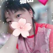 ヒメ日記 2025/04/07 18:31 投稿 猫山【ねこやま】 丸妻 西船橋店