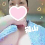 ヒメ日記 2025/04/09 18:27 投稿 猫山【ねこやま】 丸妻 西船橋店