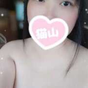 ヒメ日記 2025/04/24 09:33 投稿 猫山【ねこやま】 丸妻 西船橋店