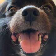 ヒメ日記 2025/05/07 17:00 投稿 猫山【ねこやま】 丸妻 西船橋店