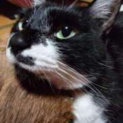 ヒメ日記 2025/05/09 18:59 投稿 猫山【ねこやま】 丸妻 西船橋店