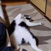 ヒメ日記 2025/07/07 18:34 投稿 猫山【ねこやま】 丸妻 西船橋店