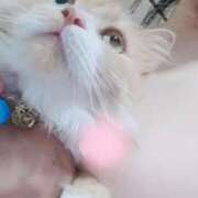 ヒメ日記 2025/07/22 18:00 投稿 猫山【ねこやま】 丸妻 西船橋店