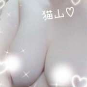 ヒメ日記 2025/08/12 07:34 投稿 猫山【ねこやま】 丸妻 西船橋店