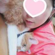 ヒメ日記 2025/08/14 17:30 投稿 猫山【ねこやま】 丸妻 西船橋店