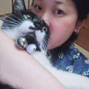 ヒメ日記 2025/08/20 17:36 投稿 猫山【ねこやま】 丸妻 西船橋店