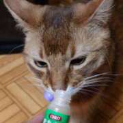 ヒメ日記 2025/09/14 17:56 投稿 猫山【ねこやま】 丸妻 西船橋店