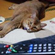 ヒメ日記 2025/09/24 19:44 投稿 猫山【ねこやま】 丸妻 西船橋店