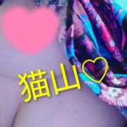 ヒメ日記 2025/10/01 18:37 投稿 猫山【ねこやま】 丸妻 西船橋店