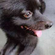 ヒメ日記 2025/10/05 08:44 投稿 猫山【ねこやま】 丸妻 西船橋店