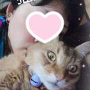 ヒメ日記 2025/10/21 05:16 投稿 猫山【ねこやま】 丸妻 西船橋店