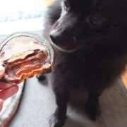 ヒメ日記 2025/11/02 18:03 投稿 猫山【ねこやま】 丸妻 西船橋店