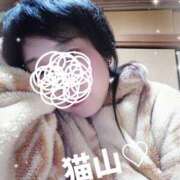 ヒメ日記 2025/11/13 18:16 投稿 猫山【ねこやま】 丸妻 西船橋店