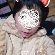 ヒメ日記 2025/11/18 17:33 投稿 猫山【ねこやま】 丸妻 西船橋店