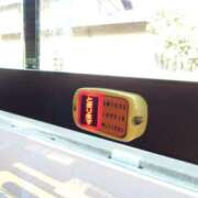 ヒメ日記 2025/11/27 18:38 投稿 猫山【ねこやま】 丸妻 西船橋店