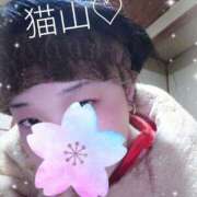 ヒメ日記 2025/11/30 05:00 投稿 猫山【ねこやま】 丸妻 西船橋店