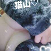 ヒメ日記 2025/12/07 17:56 投稿 猫山【ねこやま】 丸妻 西船橋店